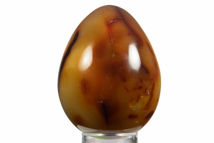 Vibrant Polished Carnelian Agate Egg - Madagascar #331750